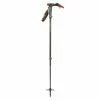 Ski Poles Black Diamond Carbon Whippet Pole