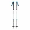 Ski Poles Black Diamond Expedition 2 Pro Poles
